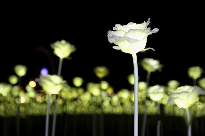 LED玫瑰花彩灯
